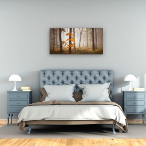 Tablou Canvas - Lumina in Noiembrie, Peisaj, Padure, Copac, Frunze, 50 x 100 cm - Img 3