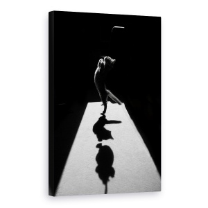 Tablou canvas - Marele Edgar, Pisica, Animal, Alb-Negru, Contrast, 40 x 60 cm