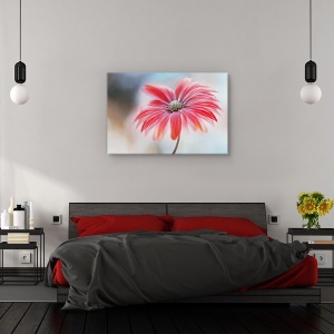 Tablou canvas - Margareta rosie, Flori, Frumusete, Planta, 80 x 120 cm - Img 3