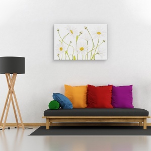 Tablou canvas - Margarete, Natura moarta, Flora, Alb, Verde, 60 x 90 cm - Img 2