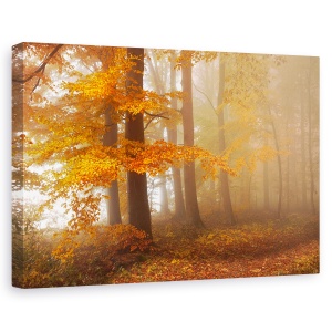 Tablou canvas - Marginea Padurii, Toamna, Frunze, 40 x 60 cm