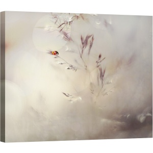 Tablou canvas - Micuta Doamna, Macro, Abstract, Gargarita, Rosu, 40 x 50 cm
