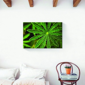 Tablou decorativ natură frunză verde pe canvas 40x60 cm