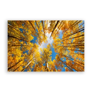 Tablou Canvas - Natura, Padure, Frunze, Toamna, 60 x 90 cm