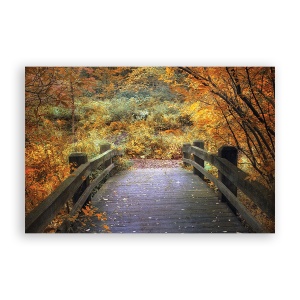 Tablou Canvas - Natura, Peisaj, Pod, Padure, Frunze, Toamna, 40 x 60 cm