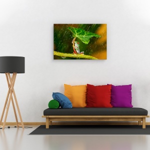 Tablou canvas - O, nu! :( Ploua!, Animal, Broasca, Umbrela, Ploaie, 60 x 90 cm - Img 2