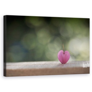 Tablou canvas - O Singura Inima, Floare, Dragoste, Romantism, 50 x 80 cm