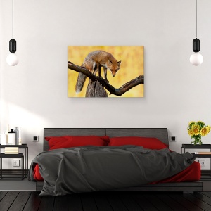 Tablou canvas - Ochi Aprinsi, Natura, Animal, Salbatic, Fauna, Vulpe, Ochi, 80 x 120 cm - Img 3