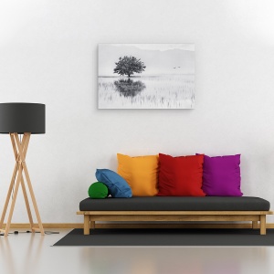 Tablou canvas - Oglinda Cu Arc, Copac, Reflectie, Grecia, Lac, Pasari, 40 x 60 cm - Img 2