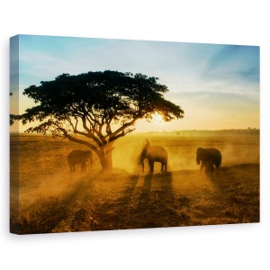 Tablou canvas - Orasul Matinal Al Elefantilor, Trio, Grup, Soare, 60 x 90 cm