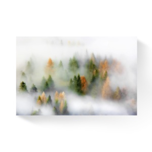 Tablou Canvas - Padure, Brazi, Toamna, Ceata, Dimineata, 80 x 120 cm