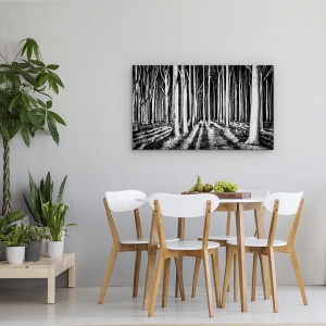 Tablou canvas - Padurea Fantoma, Peisaj, Copac, Trunchiuri, Umbra, Padure, 50 x 80 cm - Img 4