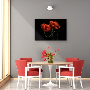 Tablou canvas - Pe La Miezul Noptii, Maci, Rosu, Flori, Fulger, 40 x 60 cm - Img 4