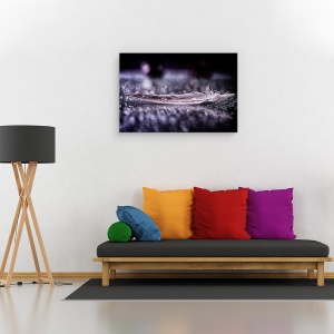 Tablou canvas - Pene Si Picatura ii, Natura Moarta, Apa, 40 x 60 cm - Img 2