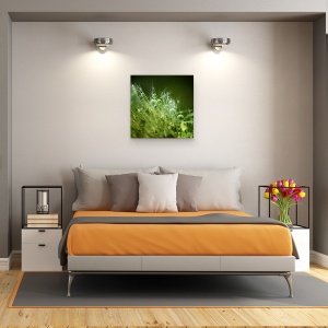 Tablou canvas - Perlele Diminetii, Roua, Dimineata, Perle, Pana, Perla, 60 x 60 cm - Img 3