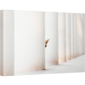 Tablou canvas - Piloni, Animale, Caini, Urbana, Stalp, Arhitectura, 80 x 120 cm