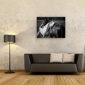 Tablou canvas - Ploaie Calda, Vitosha, Cai, Vara, 75 x 100 cm - Img 2