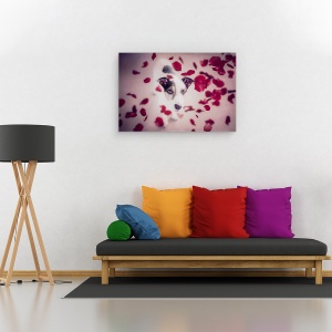 Tablou canvas - Ploaie De Trandafiri Rosii, Portret, Caini, Caine, Conceptual, Trandafiri, 80 x 120 cm - Img 2