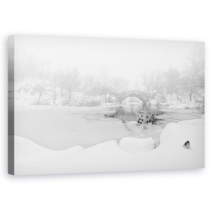 Tablou canvas cu prima zăpadă în Central Park, New York