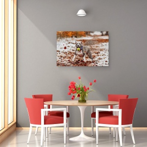Tablou canvas - Prinde Mingea, Animal, Caine, Pet, Actiune, 60 x 90 cm - Img 4
