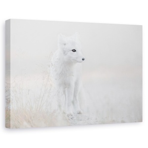 Tablou canvas - Privind In Jur, Animal, Vulpe, Dragut, Punct, 60 x 90 cm