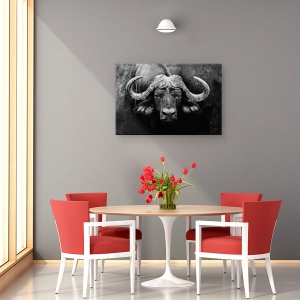 Tablou canvas - Privirea, Buffalo, Africa, Animale, Alb-Negru, Coarne, 80 x 120 cm - Img 4