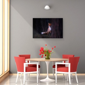 Tablou canvas - Priviri, Vulpe, Intuneric, Punct, Noapte, 80 x 120 cm - Img 4