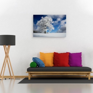 Tablou canvas - Promoroaca In Padurea Neagra, Peisaj, Iarna, Zapada, Copac, 60 x 90 cm - Img 3