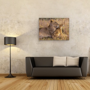 Tablou canvas - Pui De Leu Cu Mama Sa, Leoaica, Copil, Cub, 60 x 80 cm - Img 2