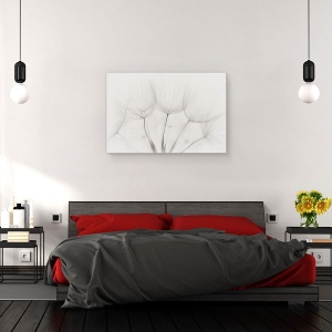 Tablou canvas - Punct, Smoc Pufos, Punct, Papadie, Floare, 40 x 60 cm - Img 3