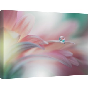 Tablou canvas - Raza de Soare, Floare, Flora, Floral, Macro, Cadere, Picaturi, 80 x 120 cm