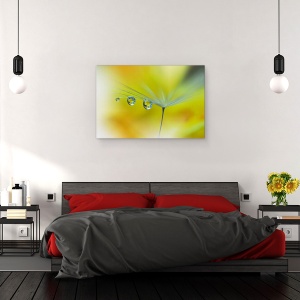 Tablou canvas - Raze de Soare, Galben, Papadie, Samanta, Reflectie, Moale, Vara, 80 x 120 cm - Img 3