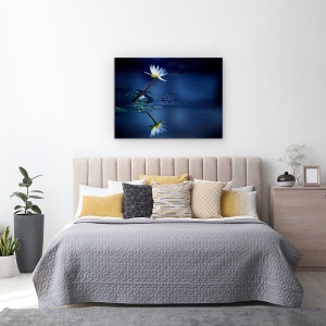 Tablou canvas - Reflectie, Flori, Nufar, Crin, 50 x 70 cm - Img 3