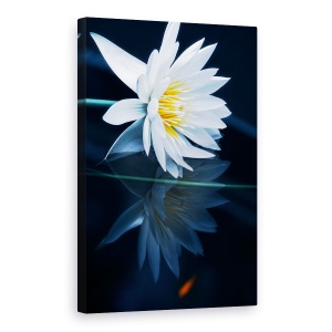 Tablou canvas - Reflectie, Nufar, Crin, Zen, Spa, 60 x 90 cm