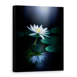 Tablou canvas - Reflectie, Nuferi, Floare, 75 x 100 cm