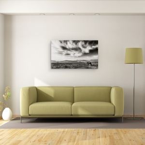 Tablou canvas - Regatul, Corbett, Habitat, Elefant, Salbatic, Alb-Negru, 50 x 80 cm - Img 2