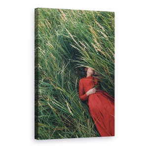 Tablou canvas - Rochie, Rosu, Rochie, Femeie, Portret, Camp, 40 x 60 cm