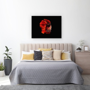 Tablou canvas - Rosu, Animal, Peste, Eleganta, 50 x 70 cm - Img 3