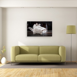 Tablou canvas - Sa Fie Lapte, Pisica, Birman, Mananca, 50 x 80 cm - Img 2