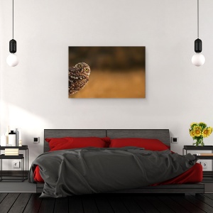 Tablou canvas - Salut, Bufnita, Dragut, Animal, Pasare, Florida, 80 x 120 cm - Img 4