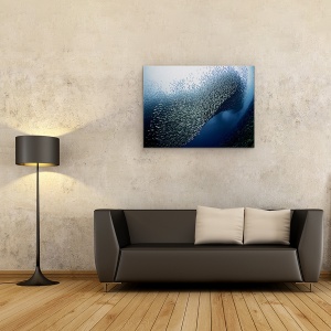 Tablou Canvas - Sardine Tornado, Peste, Marina, 60 x 80 cm - Img 2