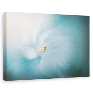 Tablou canvas - Senin, Moale, Turcoaz, Inflorire, 60 x 90 cm