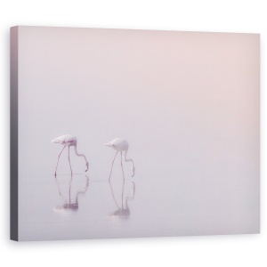 tablou decorativ canvas flamingo pe litoral