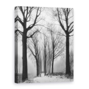 Tablou canvas - Si Apoi Vine Iarna, Belgia, Flandra, Canale, Ceata, Zapada, 75 x 100 cm