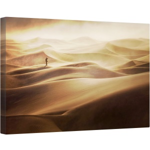 Tablou canvas - Singur, Desert, Furtuna de Nisip, Peisaj, Dune, 40 x 60 cm