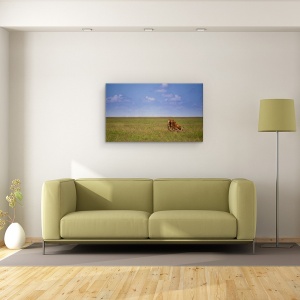 Tablou canvas - Spatele Meu, Salbatic, Natura, Animale, 50 x 80 cm - Img 2