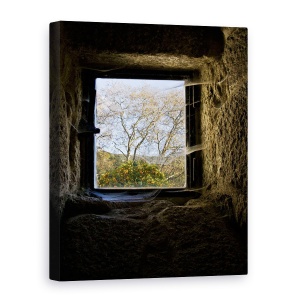 Tablou canvas - Speranta, Panza De Paianjen, Castel, Vara, Web, 60 x 80 cm