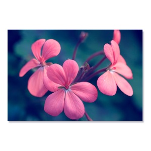 Tablou Canvas - Spune-o cu flori, 80 x 120 cm