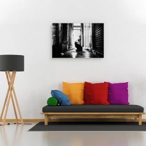 Tablou canvas - Strada Nr. 10, Pisica, Strada, Animal, 60 x 90 cm - Img 2