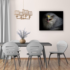 Tablou Canvas - Strigat De Razboi, Natura, Pasare, Vultur, Ochi, Agape, Cioc, 40 x 50 cm - Img 4